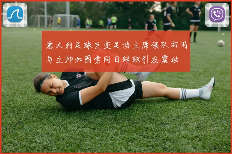 意大利足球巨变足协主席领队布冯与主帅加图索同日辞职引发震动