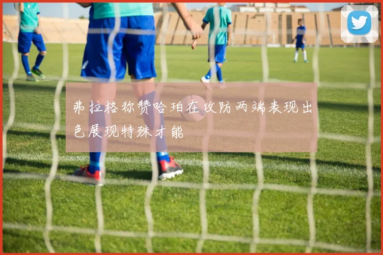弗拉格称赞哈珀在攻防两端表现出色展现特殊才能